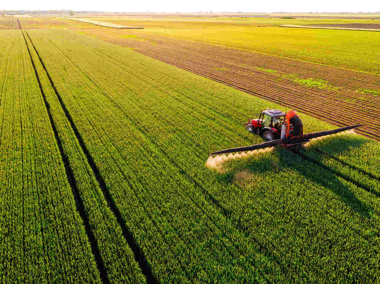 Agronegócio e fazenda tecnológica